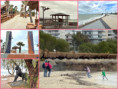 /album/trend/123-123-walking-beach-side-become-cloudy-wind-still-high-jpg/